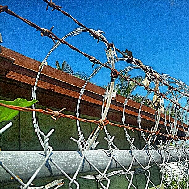 Abstract Photograph - Barbed Wire Fence @ Coral Castle by Elisa Franzetta