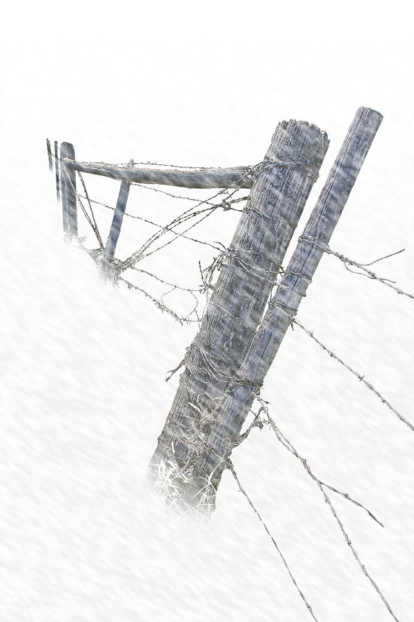 Barbed Wire Fence In A Snow Storm Photograph