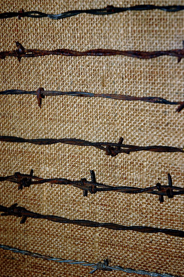 Barbed Wire Fencing Photograph by LeeAnn McLaneGoetz McLaneGoetzStudioLLCcom