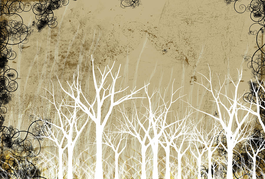 Bare Winter Season Trees Digital Art by Photos.com