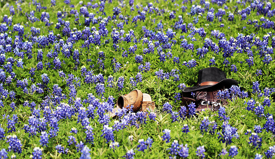 Boot Photograph - Barefoot In The Bluebonnets by Elizabeth Hart