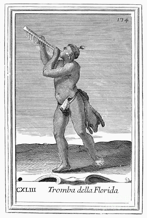 1723 Photograph - Bark Trumpet, 1723 by Granger