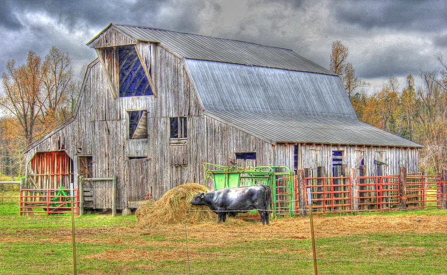 Barn And Cow Tonemapped Photograph