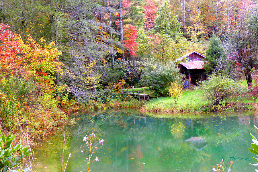 Barn and Pond in the Fall Photograph by Duane McCullough