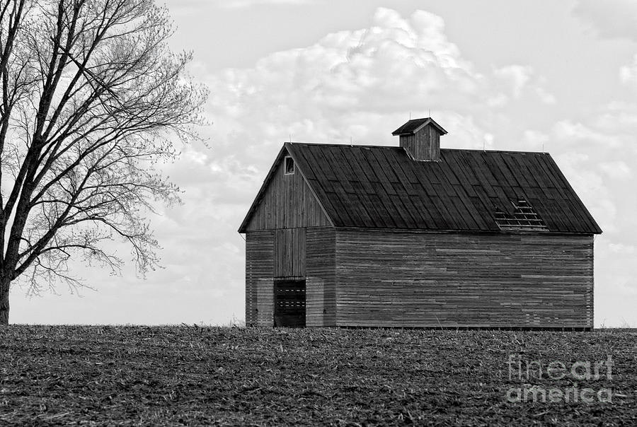 Barn and Tree in Black and White Photograph by Alan Look