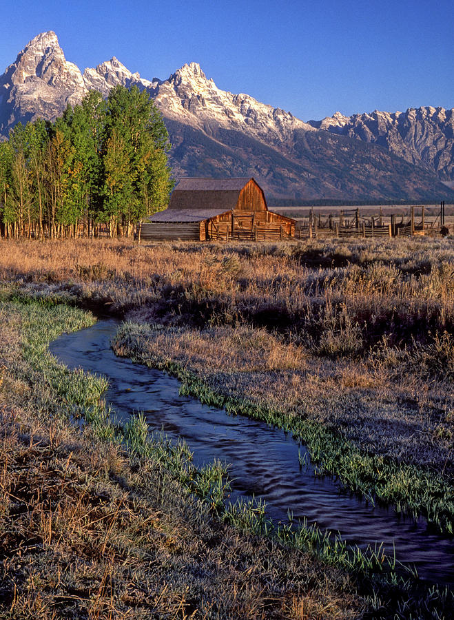 Barn Grand Tetons National Park Photograph by Dave Mills