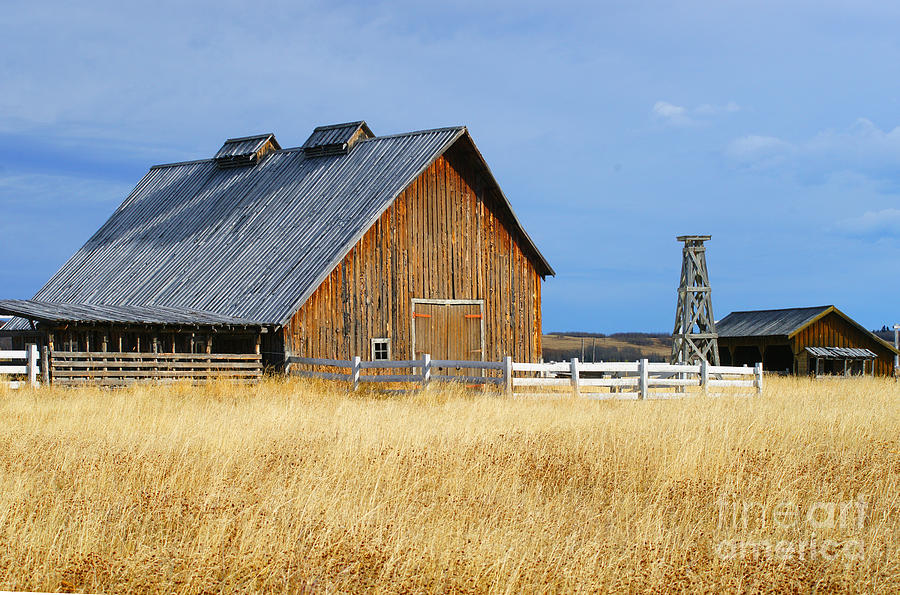 Barn In Calgary Photograph