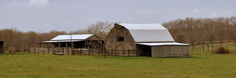 Barn in the Ozarks Photograph by Marty Koch