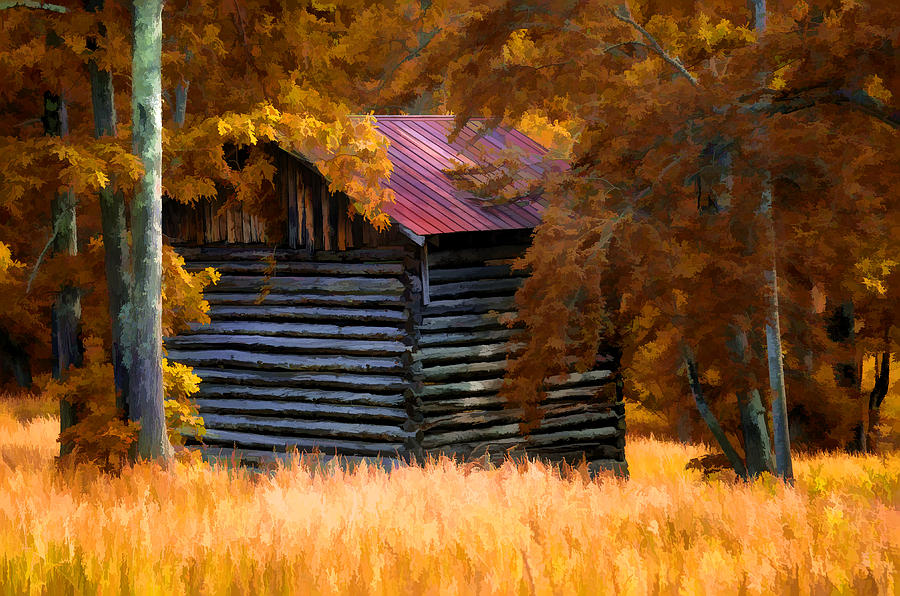 Barn in the Woods Photograph by Steve Hurt