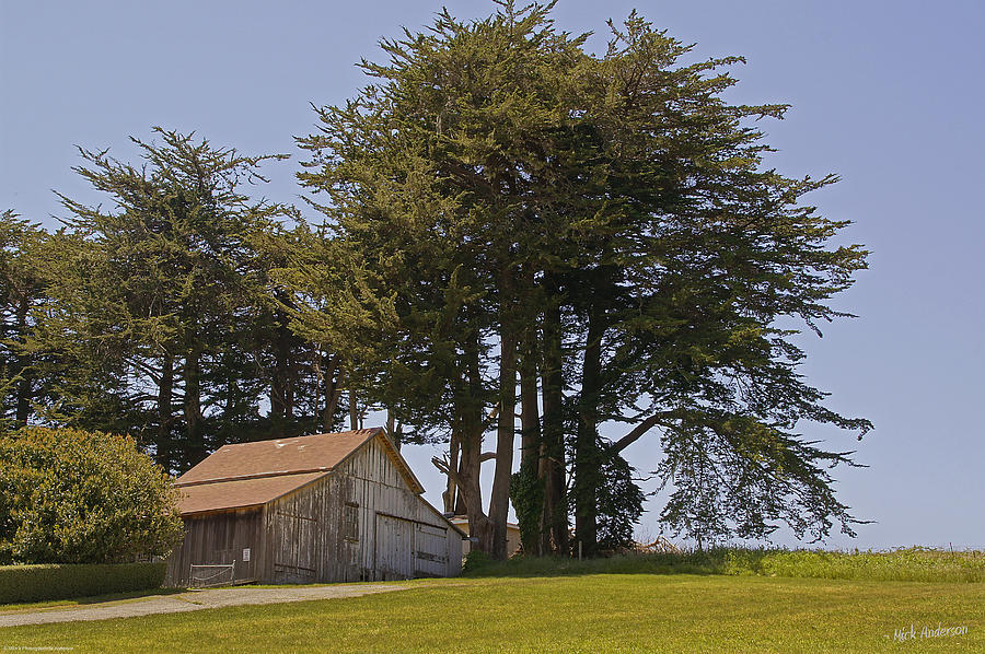 Barn in Tomales Photograph by Mick Anderson