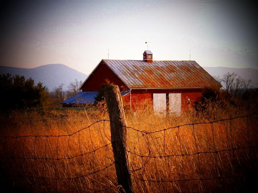 Barn in Wheat Photograph by Joyce Kimble Smith
