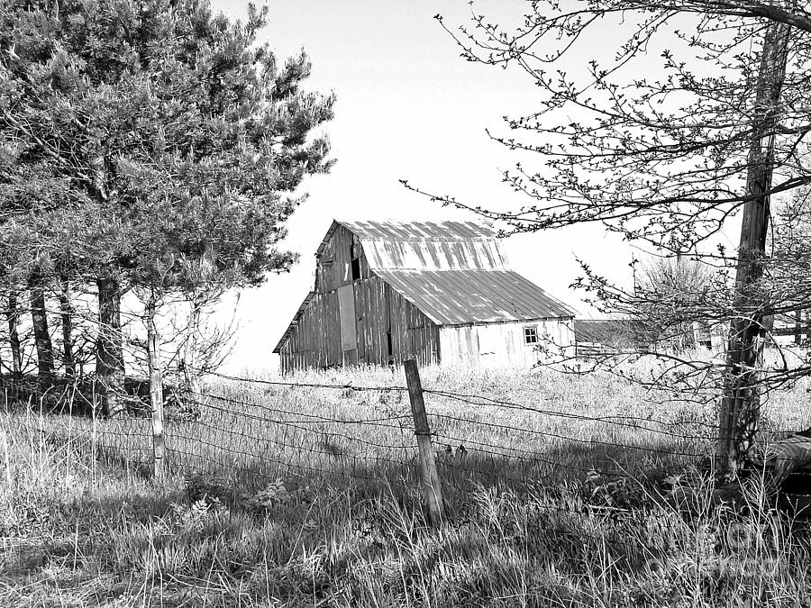 Black And White Photograph - Barn No 1 by Stephany Knight
