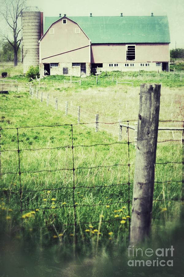 Barn None Photograph by Traci Cottingham