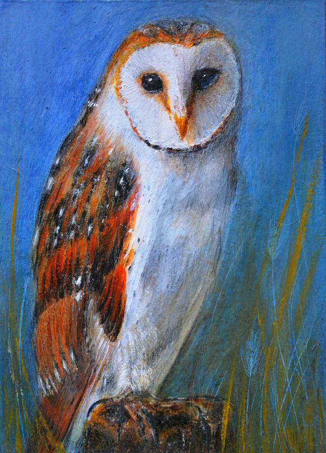 Barn Owl Painting by Lynn Hughes