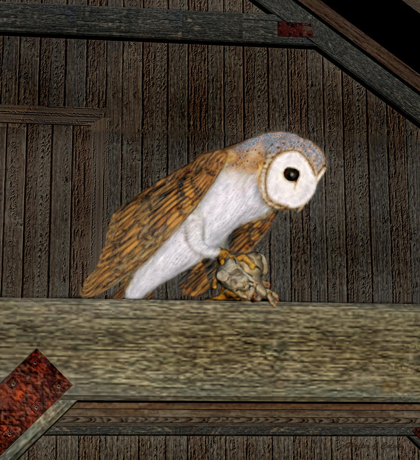 Barn Owl Digital Art by Walter Colvin