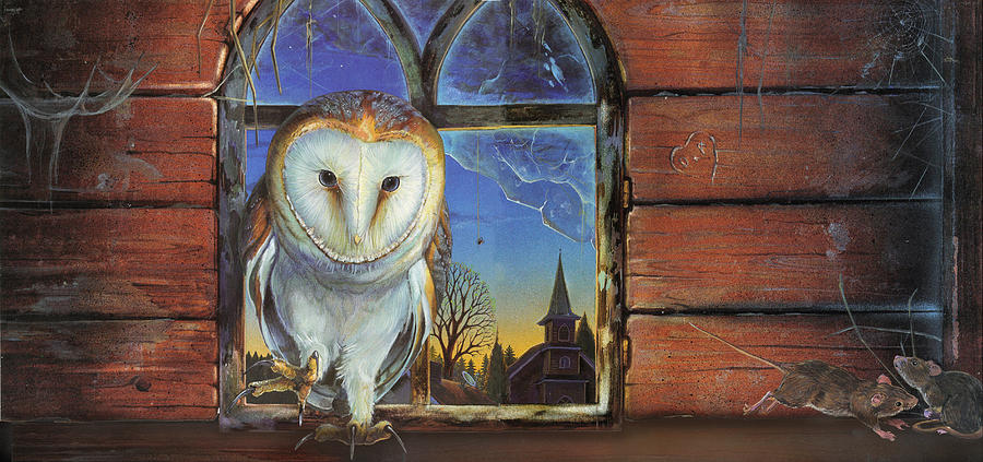 Barn Owls finds a home Mixed Media by Anne Wertheim