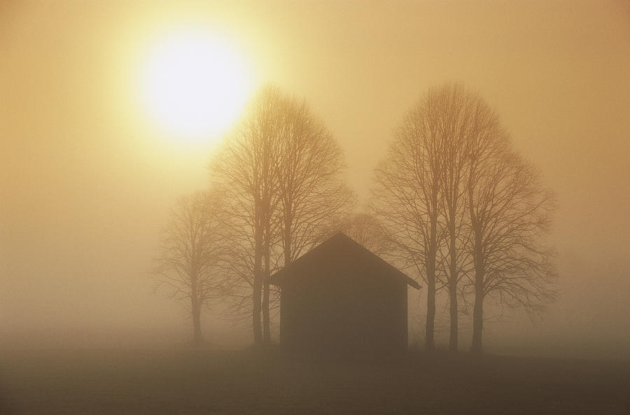 Barn, Trees And Sun Shining Photograph by Konrad Wothe