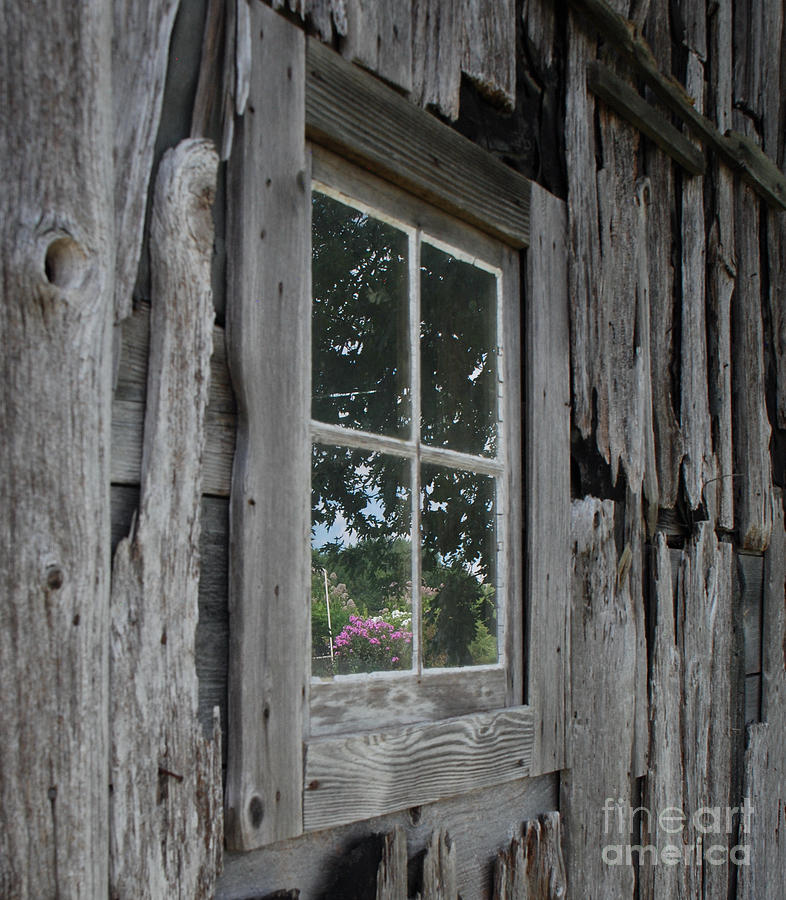 Barn Window Reflection Photograph by Grace Grogan