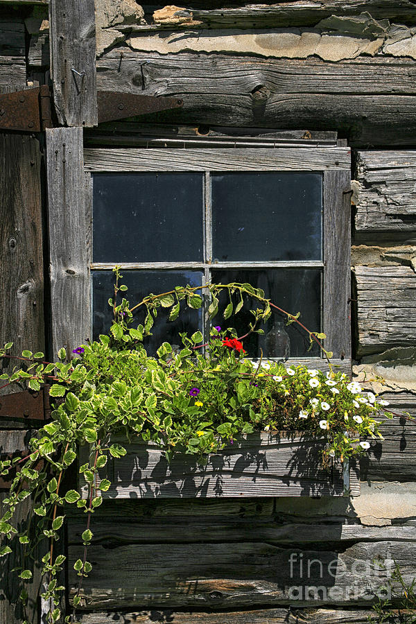 Barn Window Photograph by Timothy Johnson