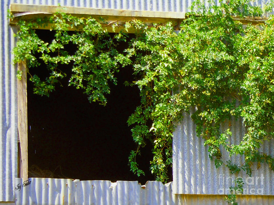 Barn Windowbox Photograph by Joy Tudor