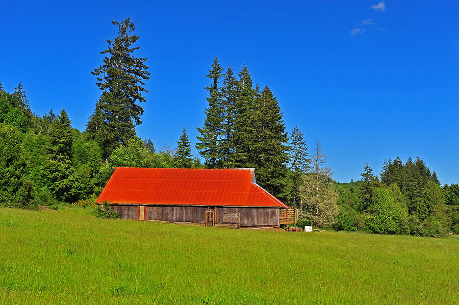 Barn with a bright red roof Photograph by Jim Boardman