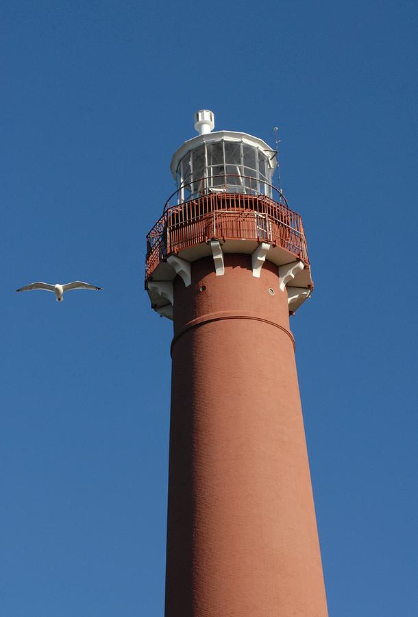 Barnegat Lighthouse 56 Photograph by Joyce StJames