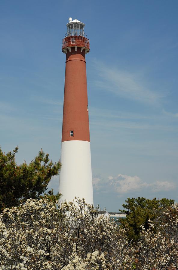 Barnegat Lighthouse 67 Photograph by Joyce StJames