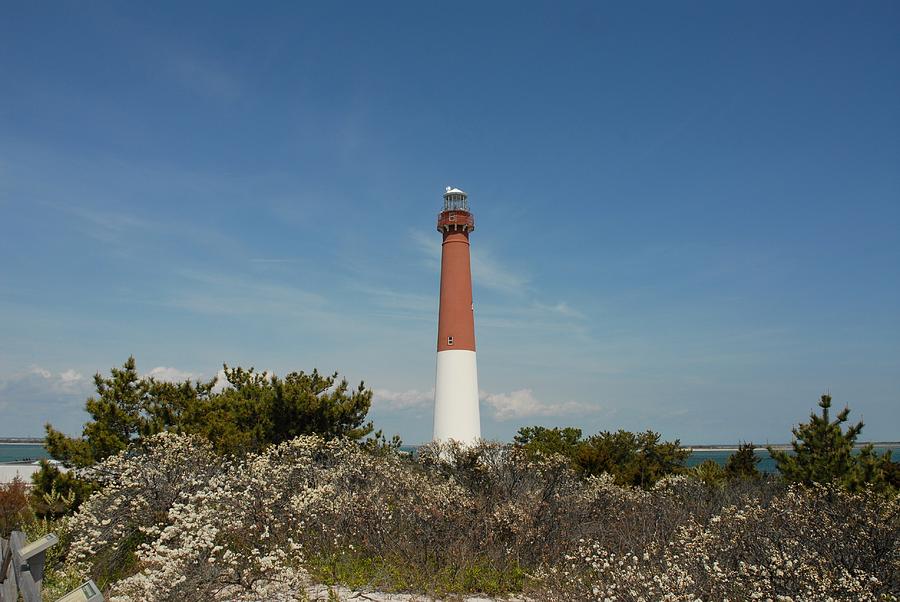 Barnegat Lighthouse 70 Photograph by Joyce StJames