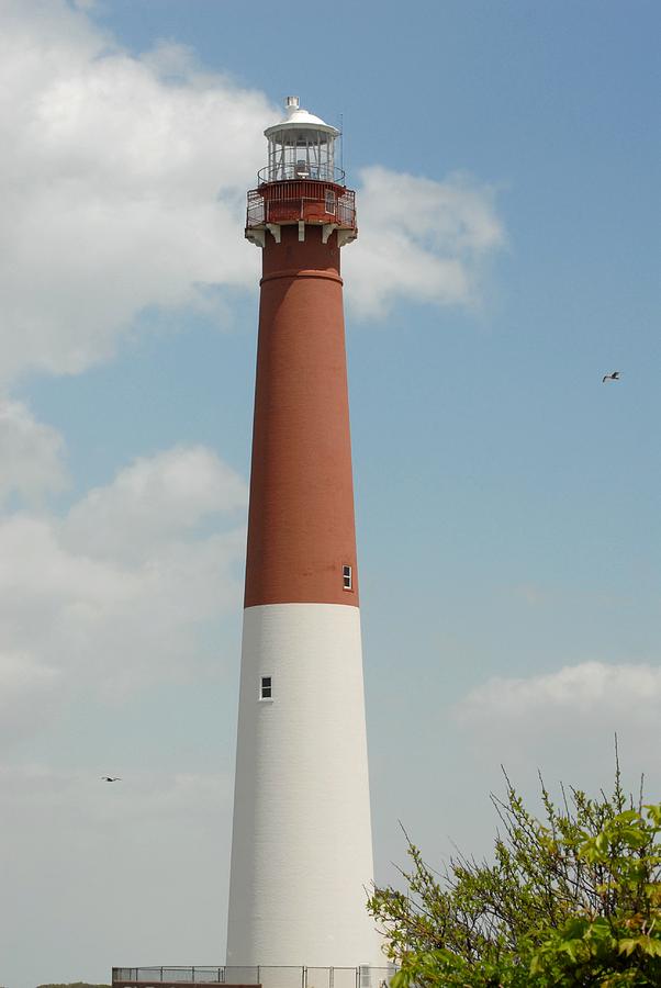 Barnegat Lighthouse 74 Photograph by Joyce StJames
