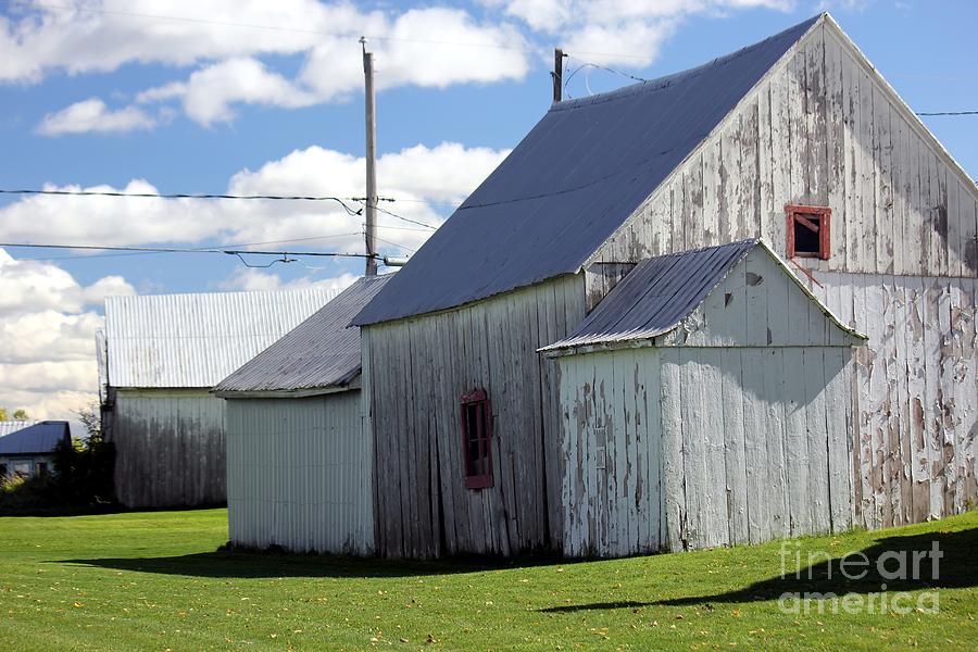 Barns in Quebec Photograph by Sophie Vigneault Fine Art America