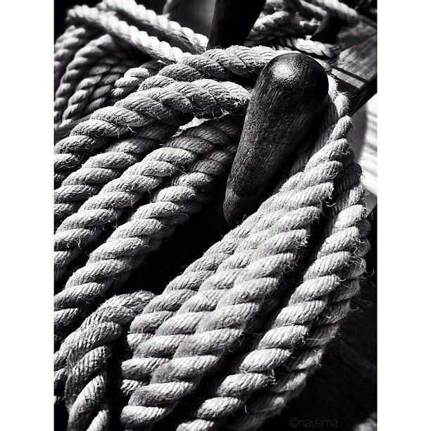 Rope Photograph - Barquentine Rope by Natasha Marco