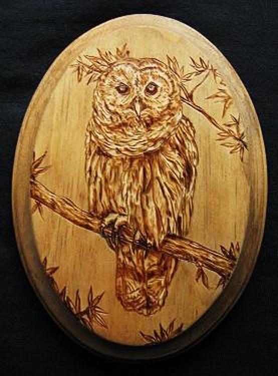 Barred Owl Pyrography by Bob Renaud