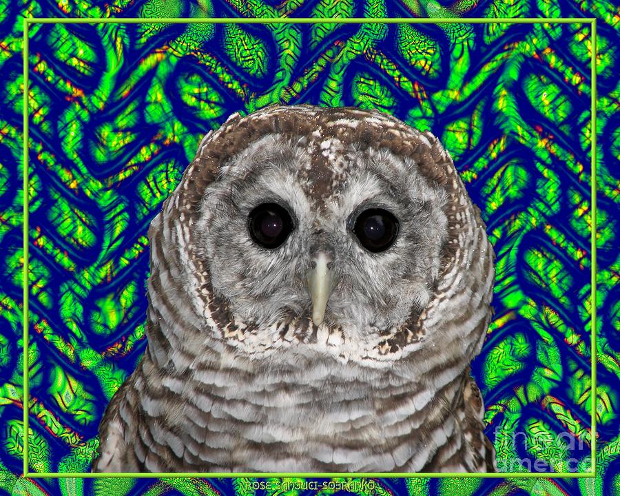 Fantasy Photograph - Barred Owl in a Fractal Tree by Rose Santuci-Sofranko