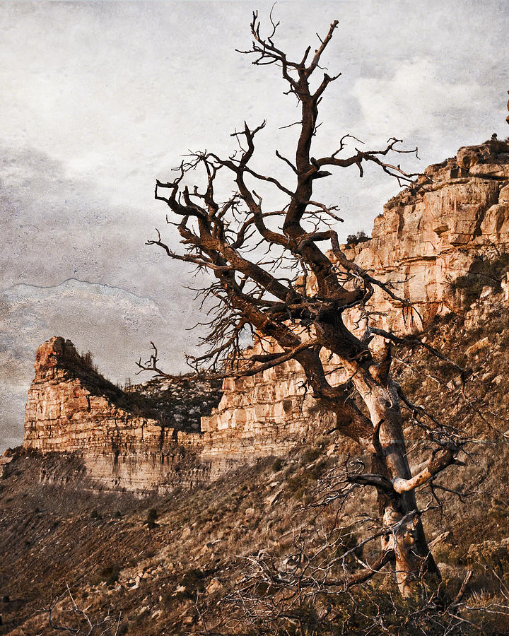 Barren Mesa Verde Photograph by Ray Devlin