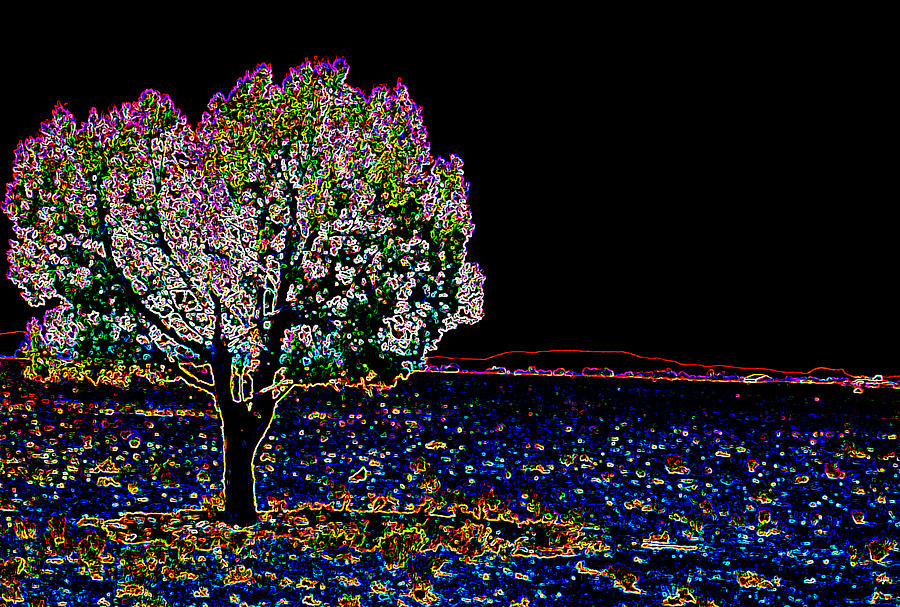 Barren Tree Digital Art by Charles Benavidez