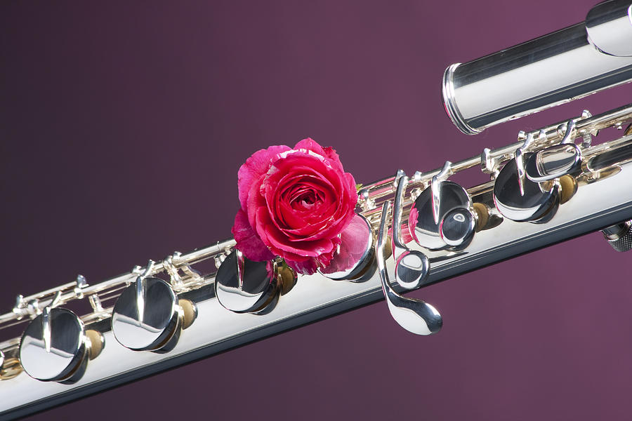 flute with rose