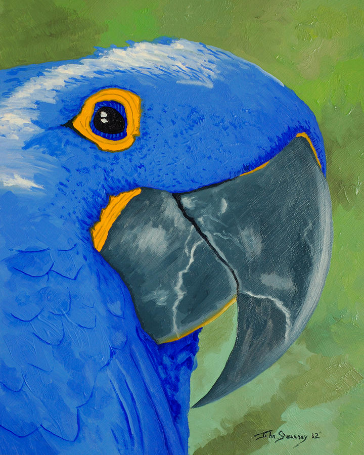 Basilio the Blue Parrot Painting by John  Sweeney