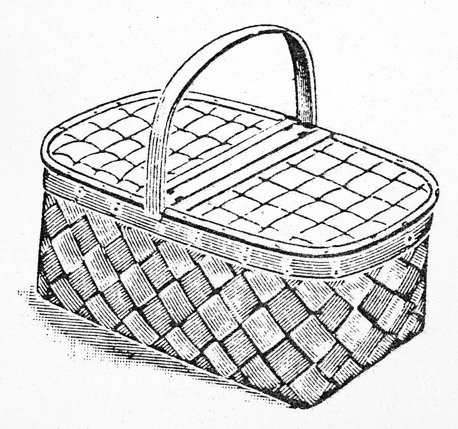 Basket Photograph - BASKET, 19th CENTURY by Granger