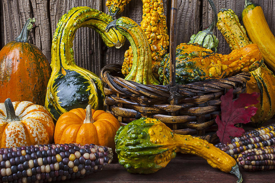 Fruit Photograph - Basket full of gourds by Garry Gay