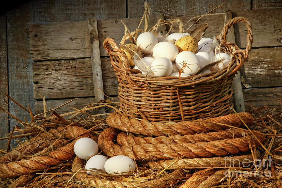 Basket of eggs on straw Photograph by Sandra Cunningham