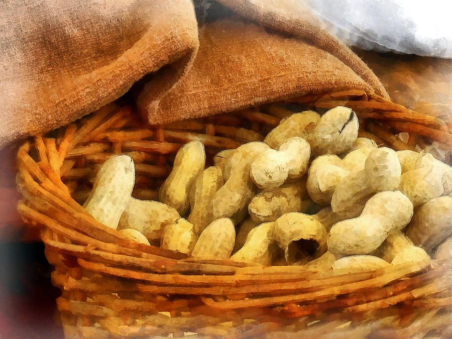 Basket of Peanuts Photograph by Susan Savad