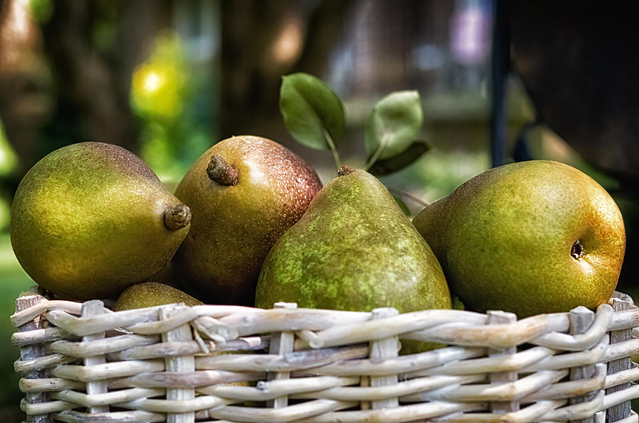 Basket of Pears Photograph by Lori Coleman