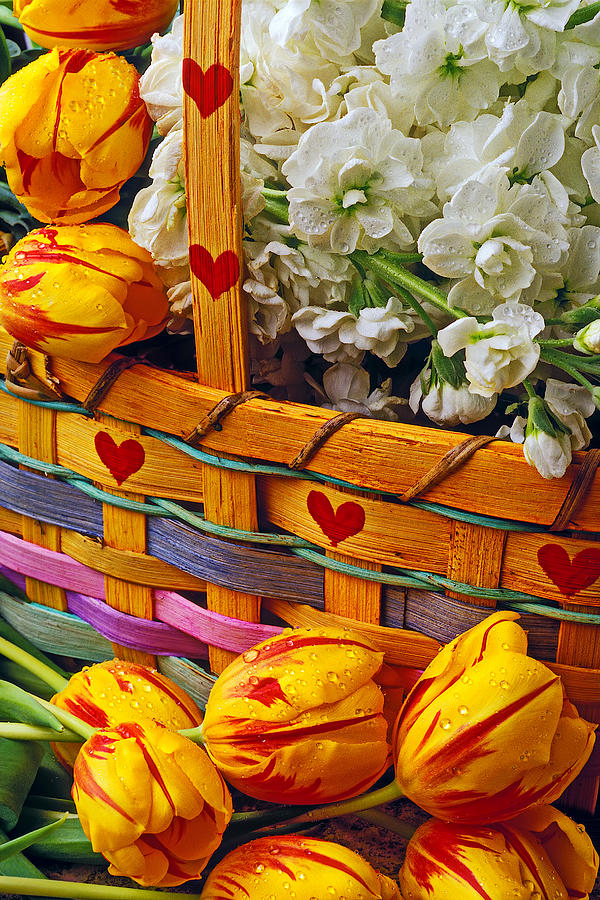 Basket of spring flowers Photograph by Garry Gay