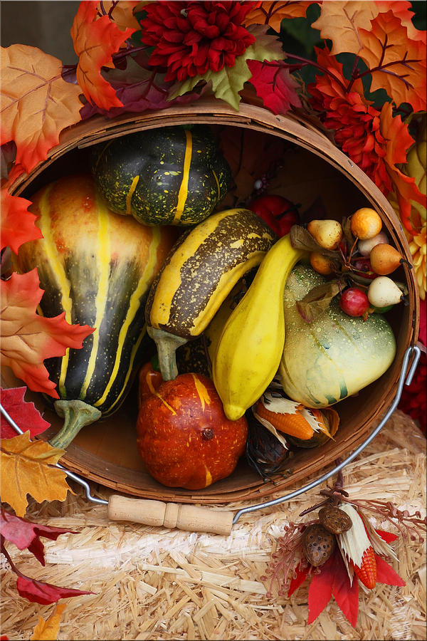 Still Life Photograph - Basket Of Squash by Chet King