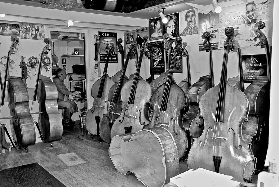 Bass Fiddle Convention Photograph by Eric Tressler