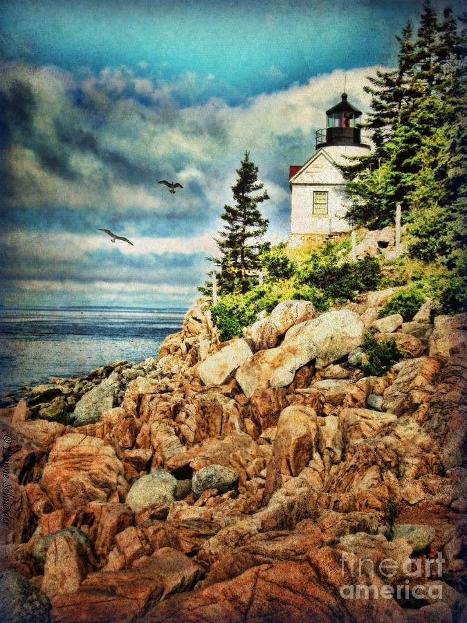 Bass Harbor - Acadia Np Digital Art