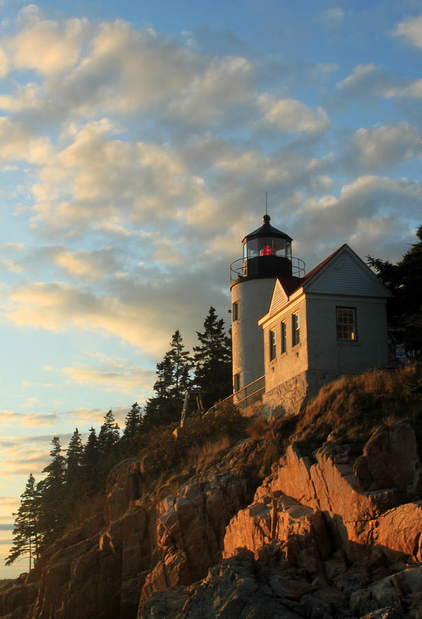 Bass Harbor Lighthouse Acadia Photograph by John Burk