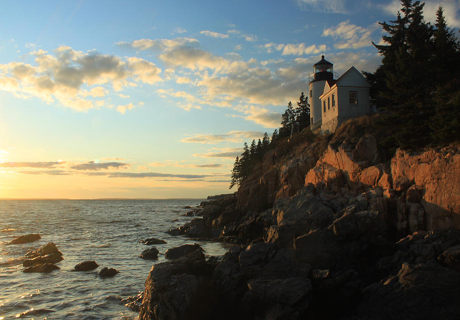 Bass Harbor Lighthouse Acadia National Park Photograph by John Burk