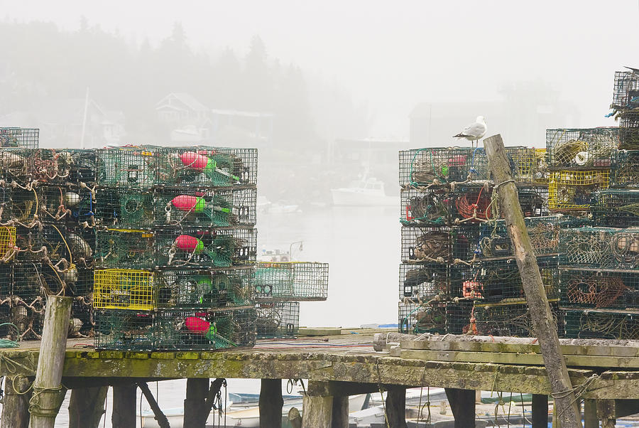 Bass Harbor Lobster Traps Maine  Photograph by Keith Webber Jr