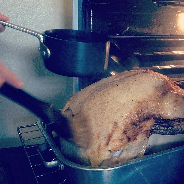 Turkey Photograph - Basting A Turkey With White Wine And by Jonathan Bouldin